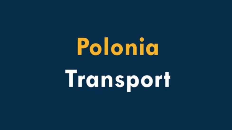 Polonia-Servicii-768x432